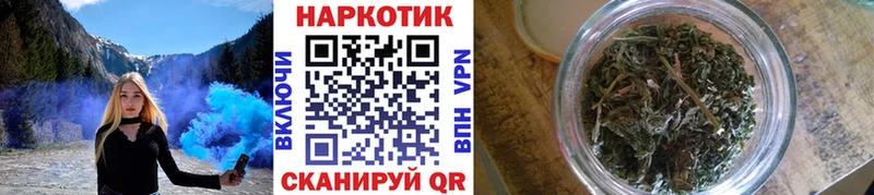 МЕФ Ишим