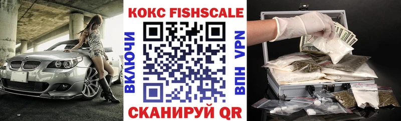 Купить закладки  Ишим  Cocaine Fish Scale 