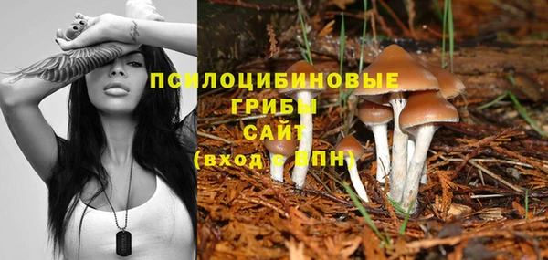 гашик Бугульма