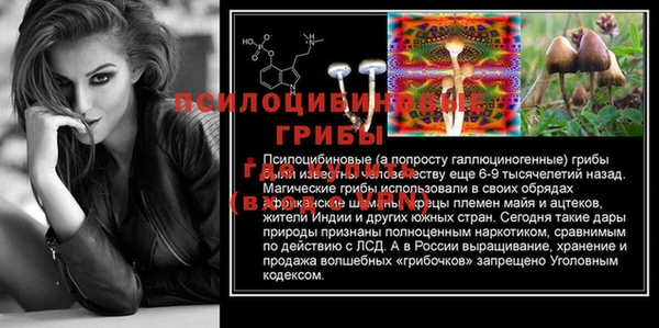 хмурый Бронницы