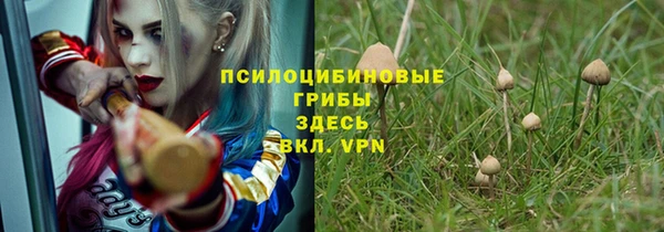 гашик Бугульма