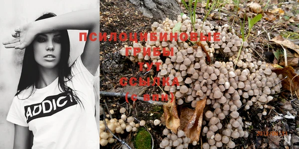 хмурый Бронницы