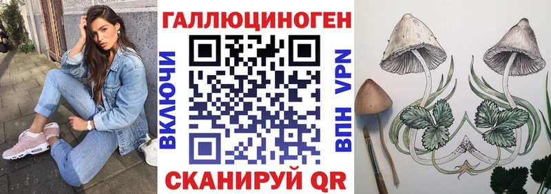 Купить  Ишим  Псилоцибиновые грибы Psilocybe 